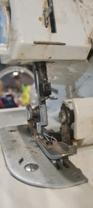 IMG-20240124-WA0016